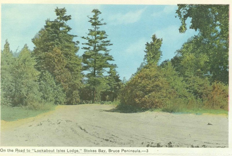 3-On-the-Road-to-Lookabout-Lodge-Stokes-Bay