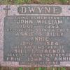 10-dwyne-ball
