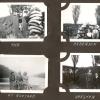 J W Dwyne Album 029