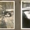 A-B-Ball-Album-1930s-018