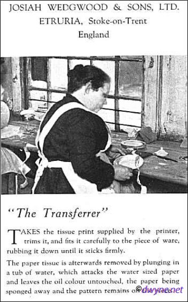 14Transferrer