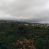 019 Calheta
