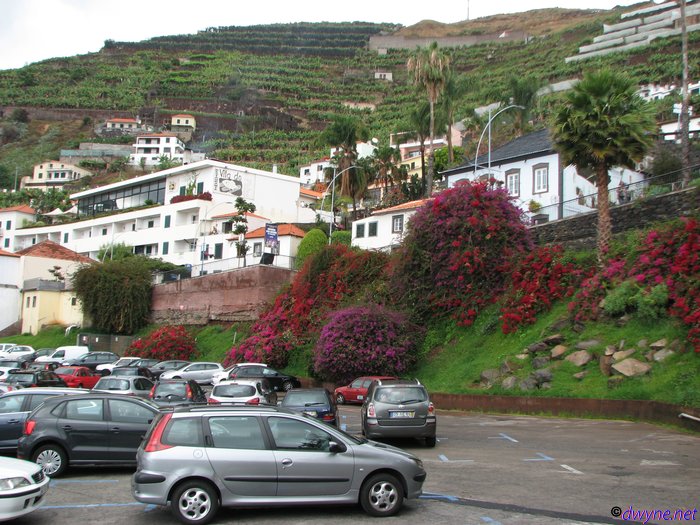 111 Camara De Lobos