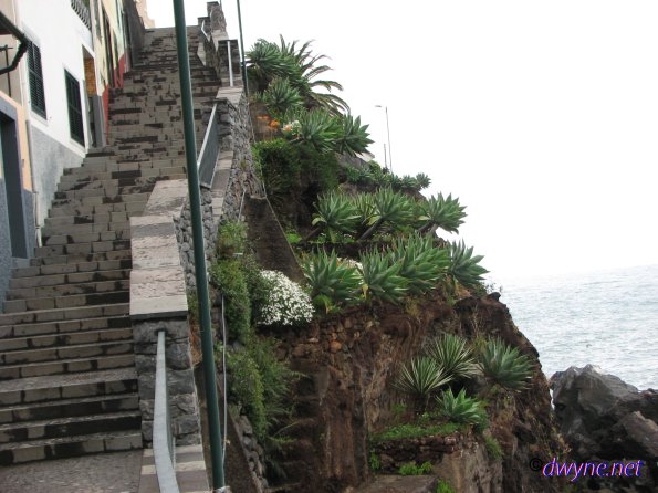 112 Camara De Lobos