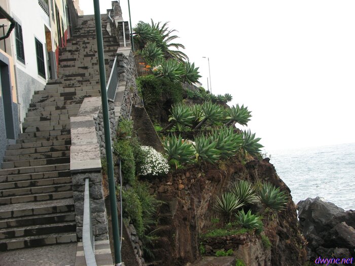 112 Camara De Lobos