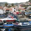 113 Camara De Lobos