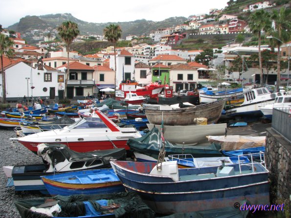 113 Camara De Lobos