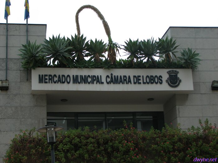 115 Camara De Lobos