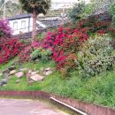 117 Camara De Lobos