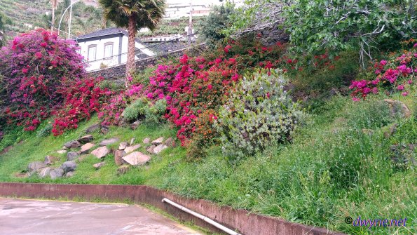 117 Camara De Lobos