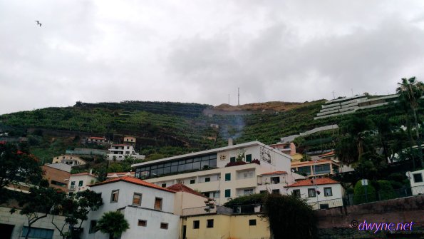 119 Camara De Lobos