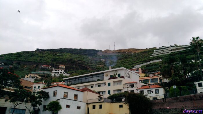 119 Camara De Lobos