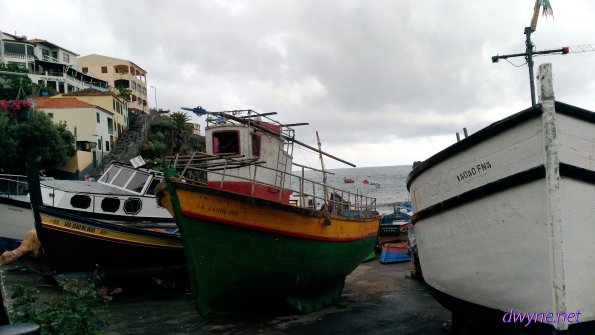 120 Camara De Lobos