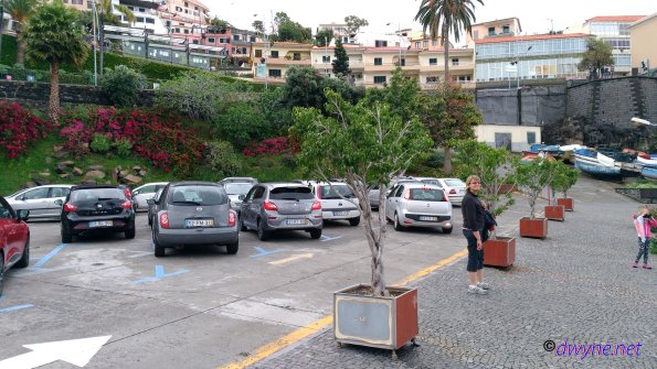 121 Camara De Lobos