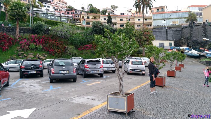 121 Camara De Lobos