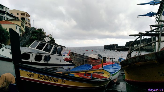 122 Camara De Lobos