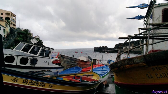 123 Camara De Lobos