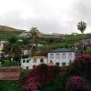 124 Camara De Lobos