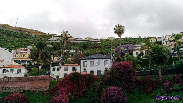 124 Camara De Lobos