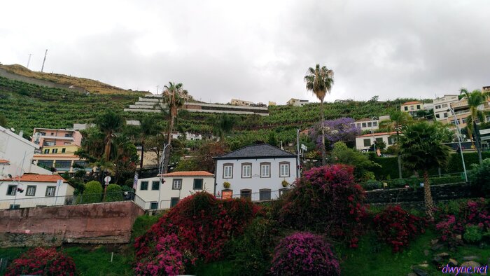124 Camara De Lobos