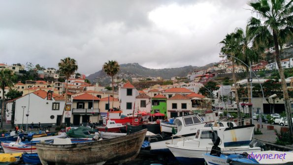 126 Camara De Lobos