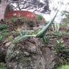 165 Jardim Botanico