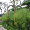 168 Jardim Botanico