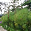 168 Jardim Botanico