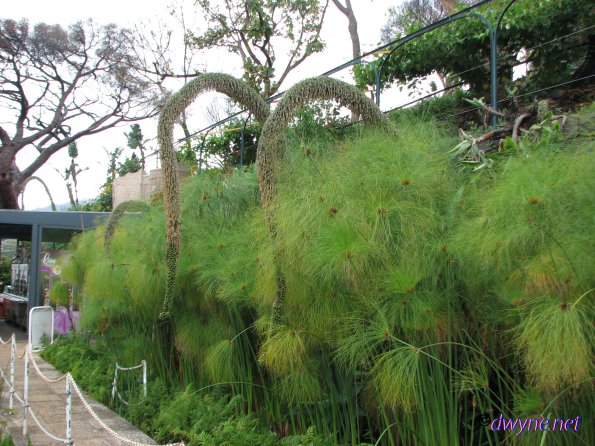 168 Jardim Botanico