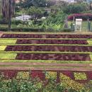 170 Jardim Botanico