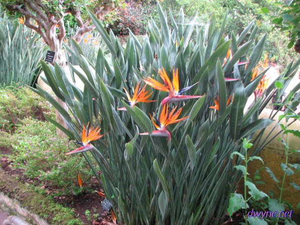 173 Jardim Botanico