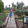 174 Jardim Botanico
