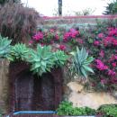 175 Jardim Botanico