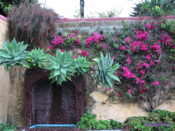 175 Jardim Botanico