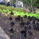 176 Jardim Botanico