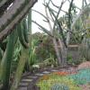 177 Jardim Botanico