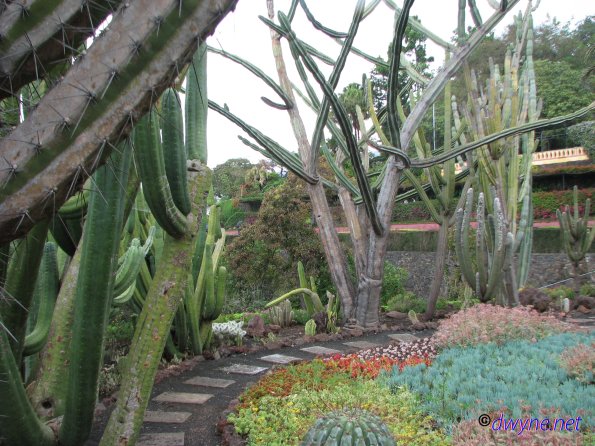 177 Jardim Botanico