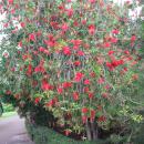 181 Jardim Botanico