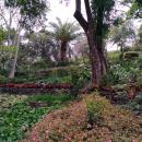 182 Jardim Botanico
