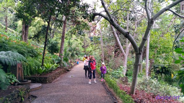 183 Jardim Botanico