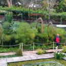185 Jardim Botanico