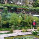 185 Jardim Botanico