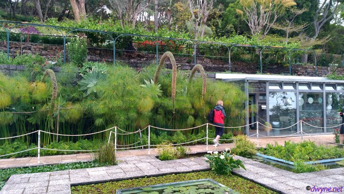 185 Jardim Botanico