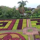 186 Jardim Botanico