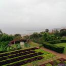 187 Jardim Botanico