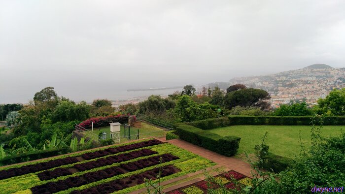 187 Jardim Botanico