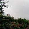 191 Jardim Botanico