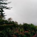 191 Jardim Botanico