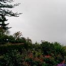 191 Jardim Botanico