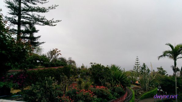 191 Jardim Botanico